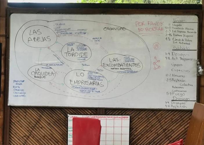 De cuando en un diálogo para resolver conflictos, abejas, orquídeas y Toroide tuvieron algo que decir.